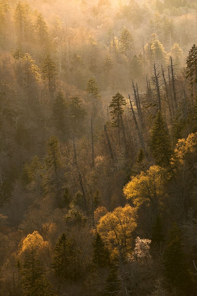 Spring sunset from Morton Overlook-Great Smoky Mountains National Park-Tennessee